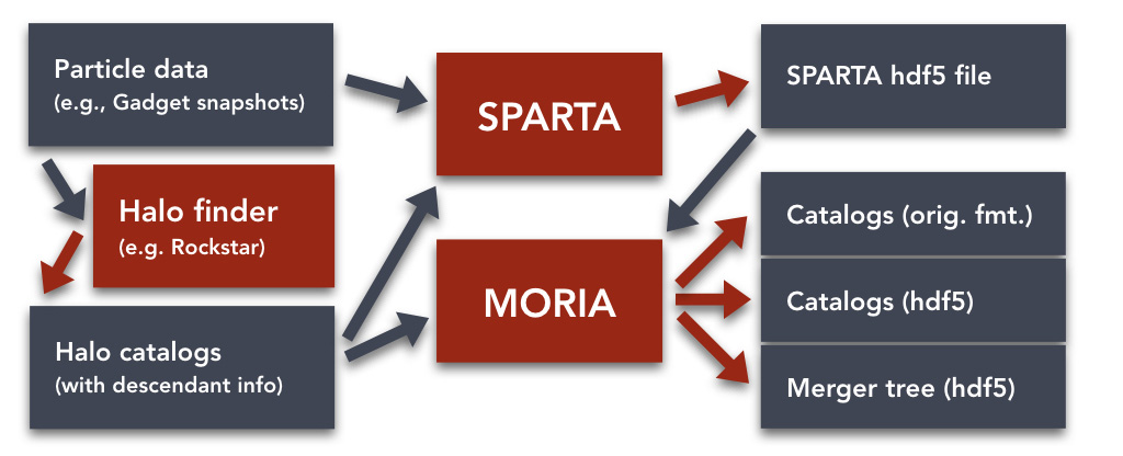 _images/sparta_schematic.jpeg